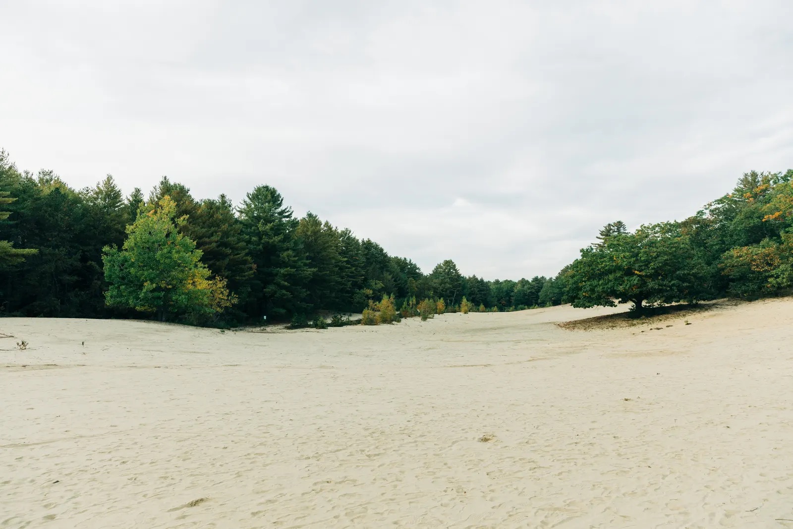 The sand dunes of the Desert of Maine next door
