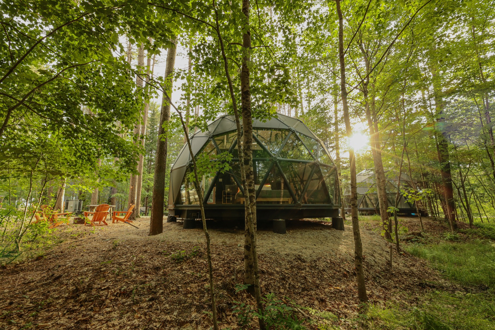 Geodesic glamping domes among the pines at the Desert of Maine Campground