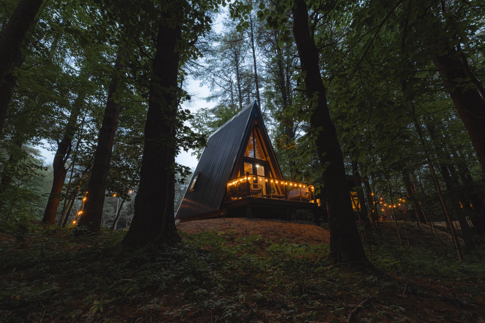An Escape A-frame cabin among the pines