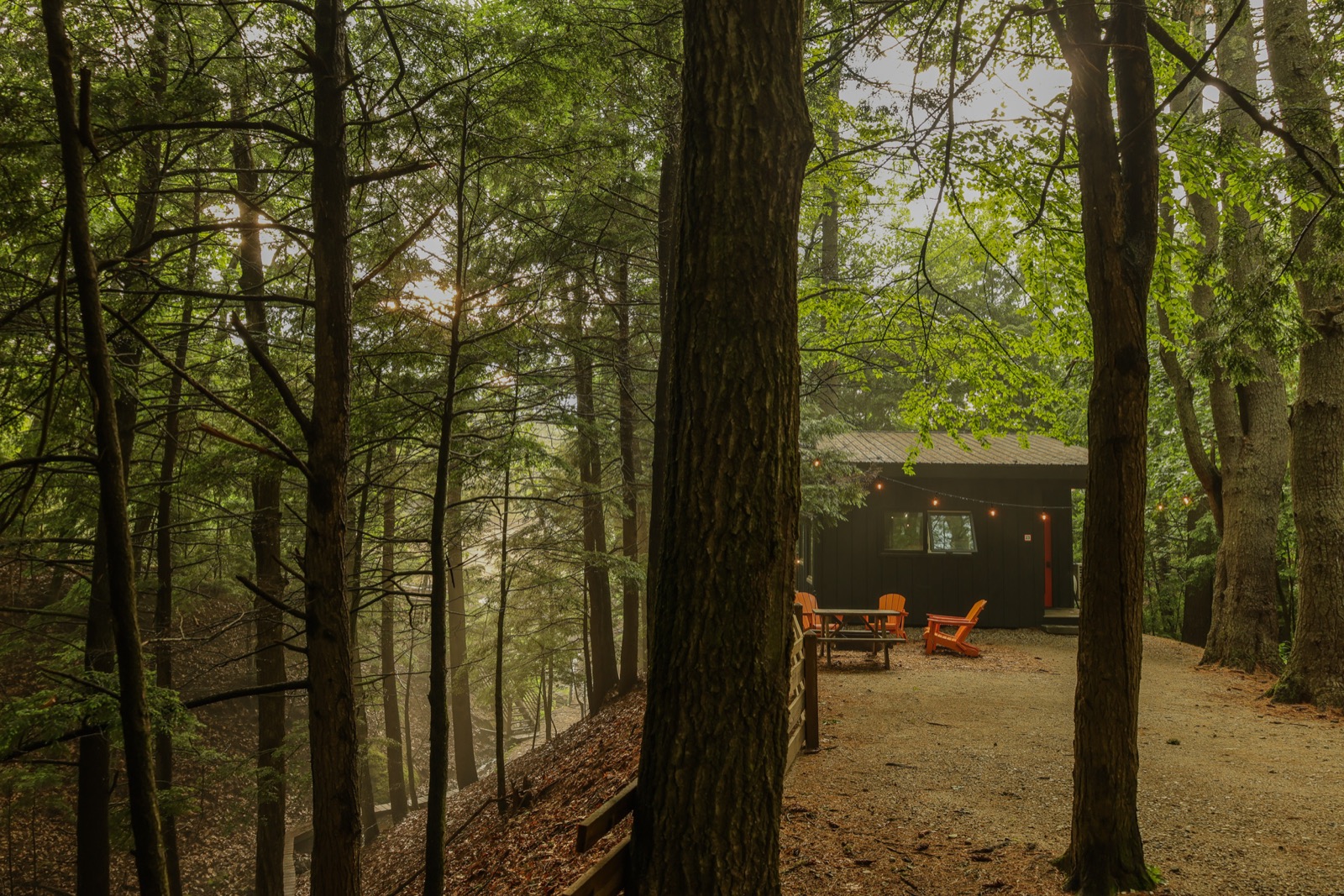 A secluded Haven cabin on a misty Maine morning